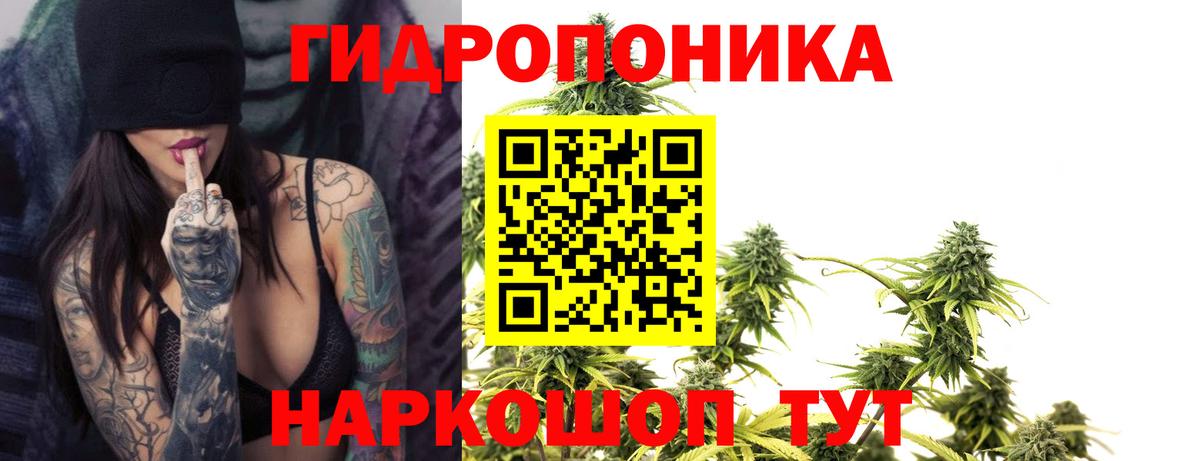 Конопля MAZAR Краснознаменск